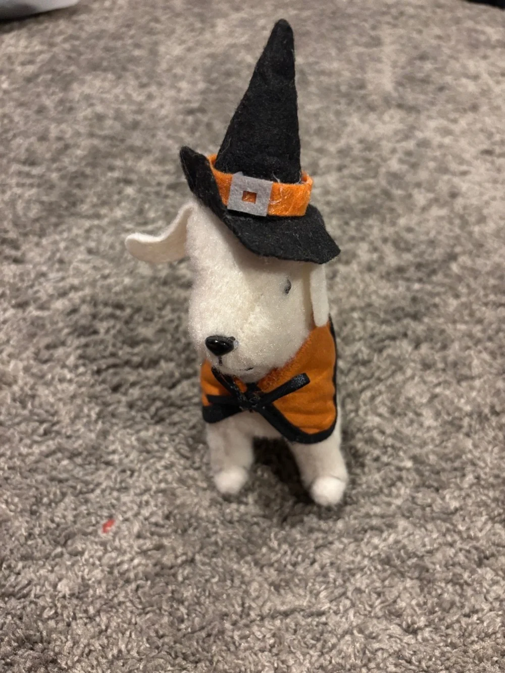 Halloween dog decor